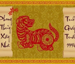 1994 xây nhà năm 2025 – Có hợp tuổi không?