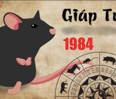 Tuổi 1984 làm nhà năm nào đẹp nhất cho gia chủ Giáp Tý