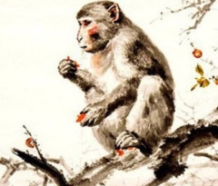 Tuổi 1992 làm nhà năm 2026 có tốt không? Phân tích theo phong thủy chi tiết